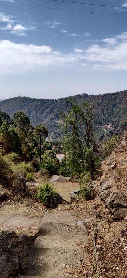 2Bhk Furnished Apartment/Near Kasauli/Barog/Luv Fun & Adventure Solan Exterior foto