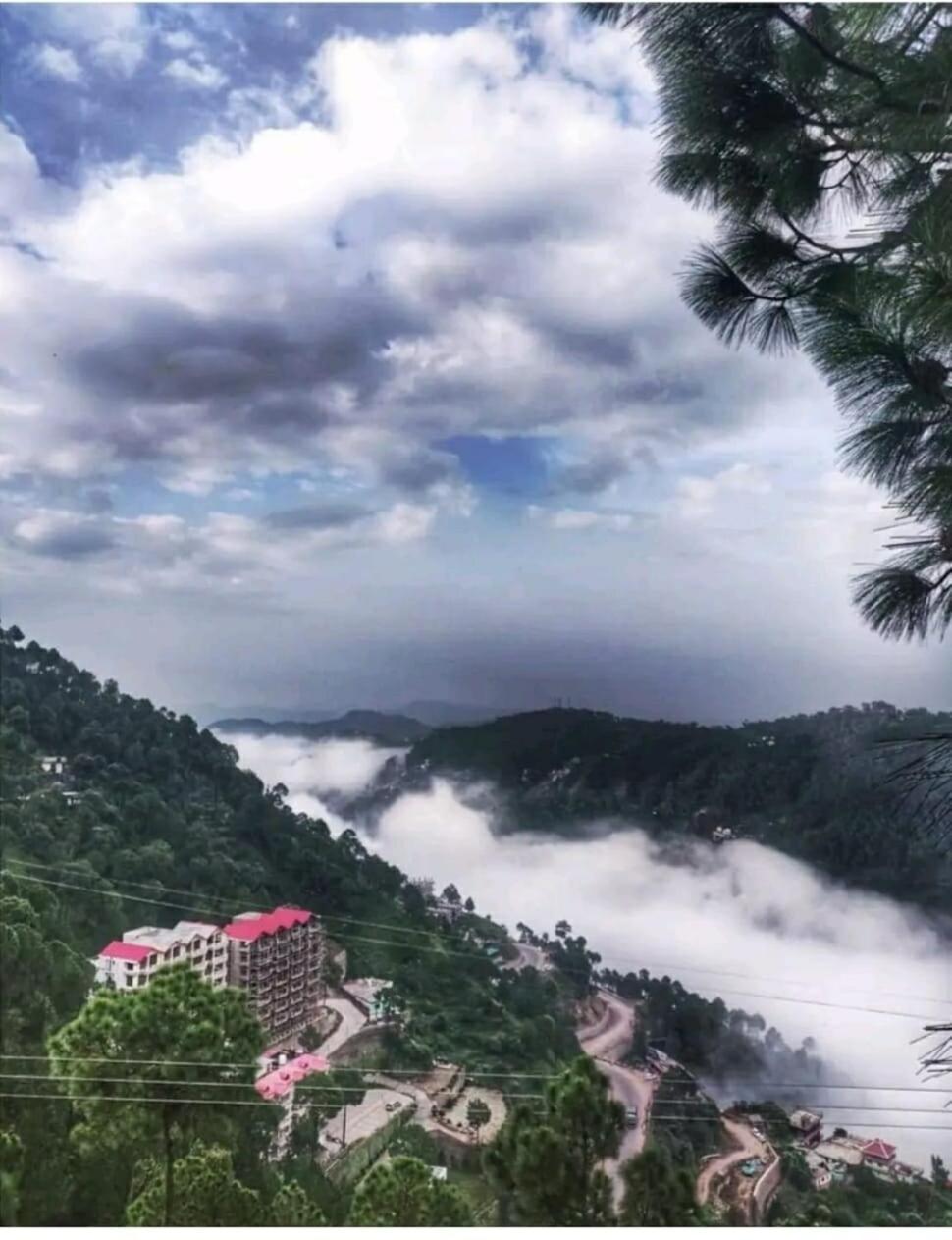 2Bhk Furnished Apartment/Near Kasauli/Barog/Luv Fun & Adventure Solan Exterior foto