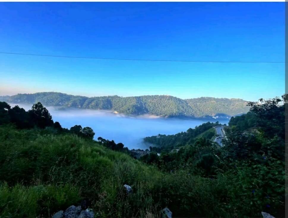 2Bhk Furnished Apartment/Near Kasauli/Barog/Luv Fun & Adventure Solan Exterior foto