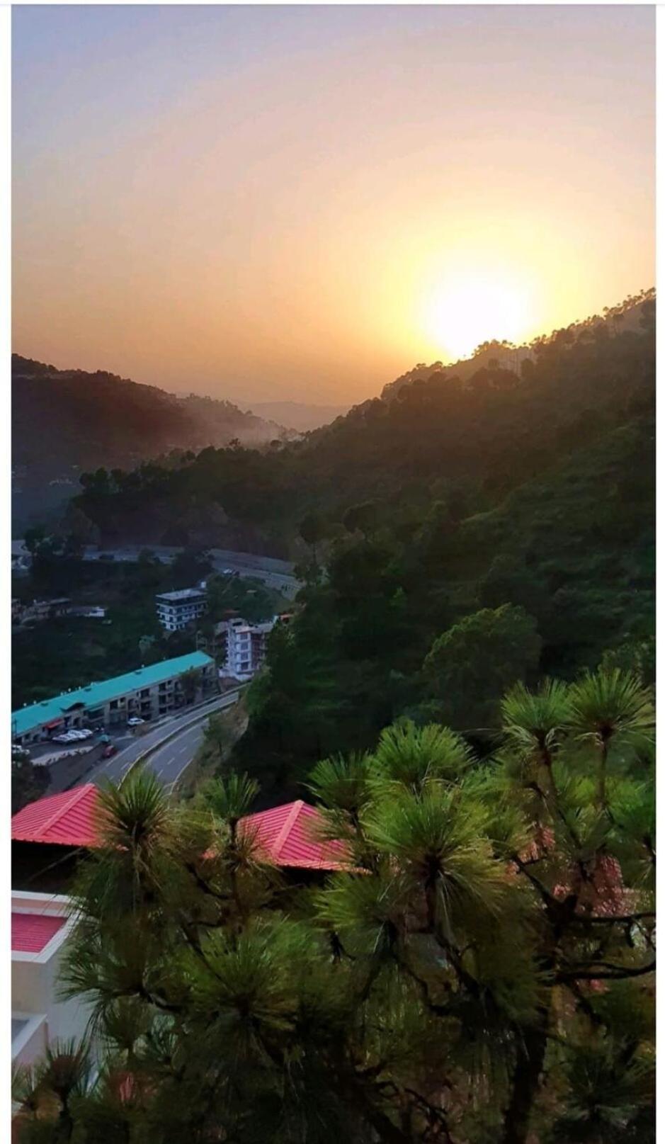 2Bhk Furnished Apartment/Near Kasauli/Barog/Luv Fun & Adventure Solan Exterior foto