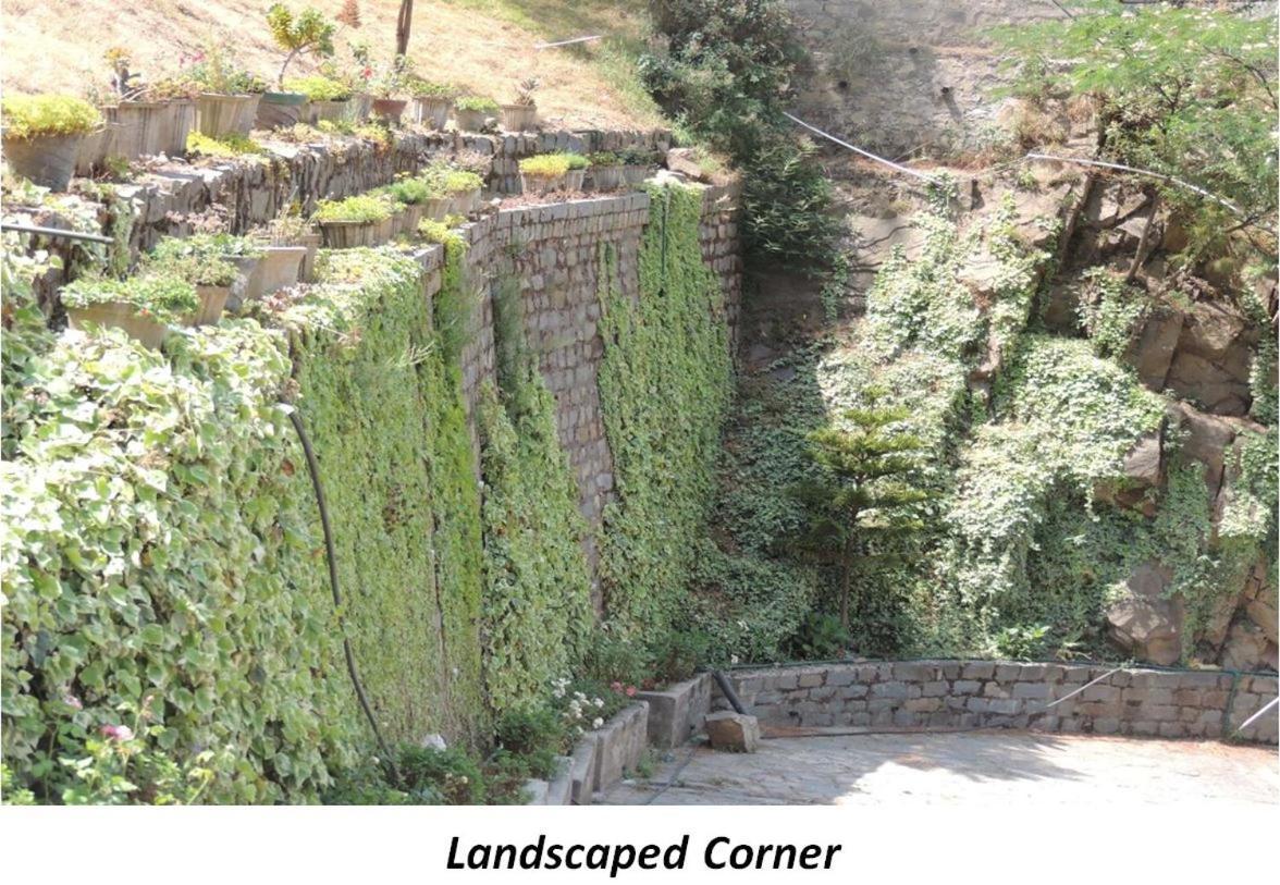 2Bhk Furnished Apartment/Near Kasauli/Barog/Luv Fun & Adventure Solan Exterior foto